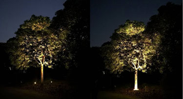 LED抱樹(shù)燈VS投光燈 在園林亮化中哪個(gè)應(yīng)用效果好?